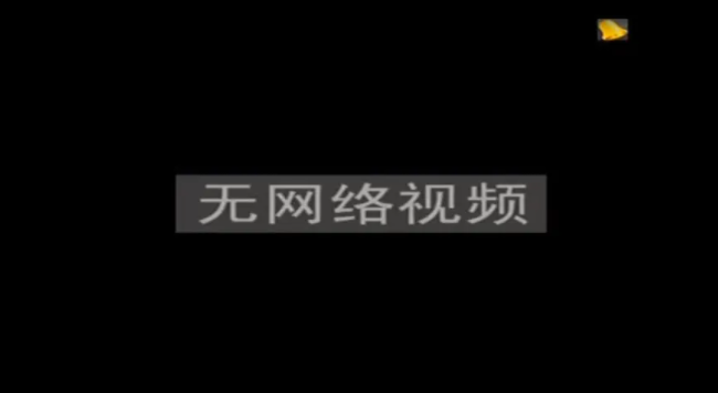 無網(wǎng)絡(luò)視頻